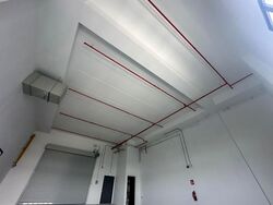 Ct Foodnex (D25), Factory #635444101